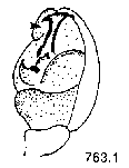 {short description of image}