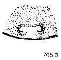 {short description of image}