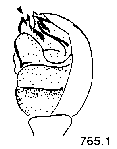 {short description of image}