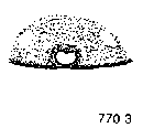 {short description of image}