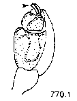 {short description of image}