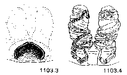 {short description of image}