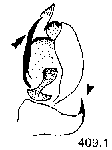 {short description of image}