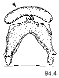{short description of image}