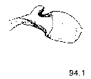 {short description of image}