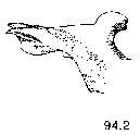 {short description of image}