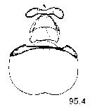 {short description of image}