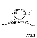 {short description of image}
