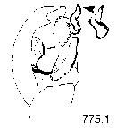 {short description of image}