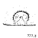 {short description of image}
