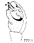 {short description of image}