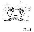 {short description of image}