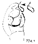 {short description of image}