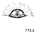 {short description of image}