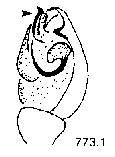 {short description of image}