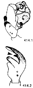 {short description of image}