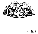 {short description of image}