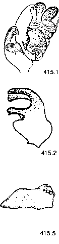 {short description of image}