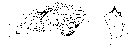 {short description of image}