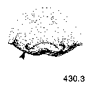 {short description of image}