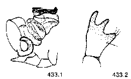 {short description of image}