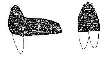 {short description of image}
