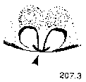 {short description of image}
