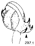 {short description of image}