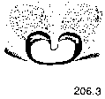{short description of image}