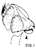{short description of image}