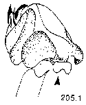 {short description of image}
