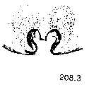 {short description of image}