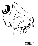 {short description of image}
