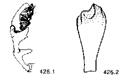 {short description of image}