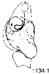 {short description of image}