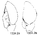 {short description of image}