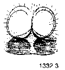 {short description of image}