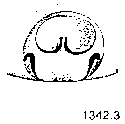 {short description of image}