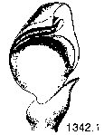{short description of image}