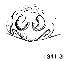 {short description of image}