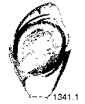 {short description of image}