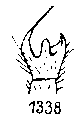 {short description of image}