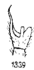 {short description of image}