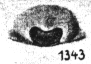 {short description of image}