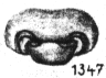 {short description of image}