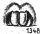 {short description of image}