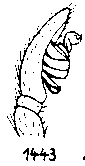 {short description of image}