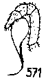 {short description of image}