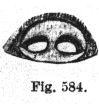{short description of image}