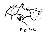 {short description of image}